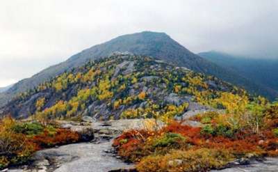 colorful foliage on a mountain's summit