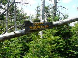 cliff mountain sign mounted to a limb
