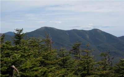 several mountain peaks in the background with pine tree tops in the foreground