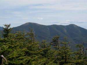 several mountain peaks in the background with pine tree tops in the foreground
