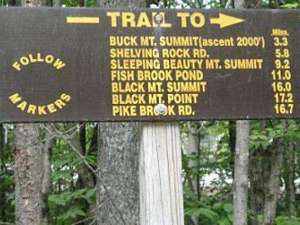 buck mountain trail sign