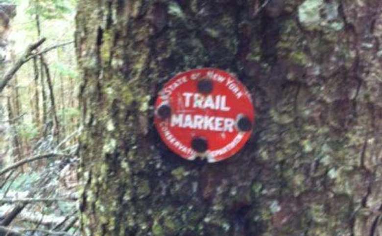red trail marker nailed to a tree