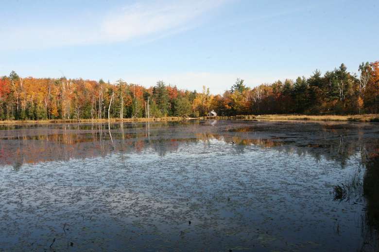 pond near crane mountain in the fall