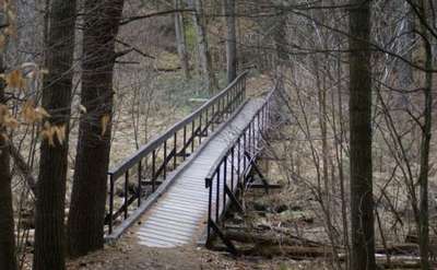 wooden bridge crossing a marshy area