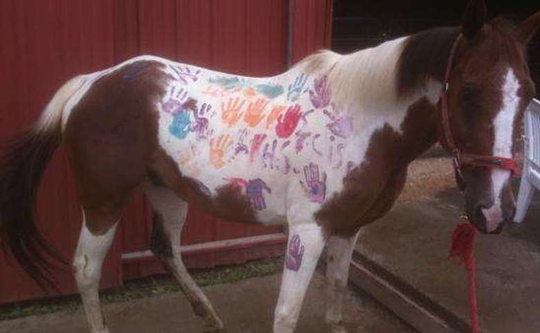 white and brown horse with colored handprints on it