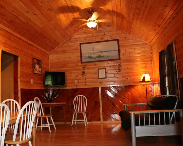 Adirondack-style living room area