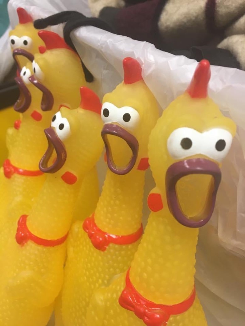 Screaming rubber chickens for fun