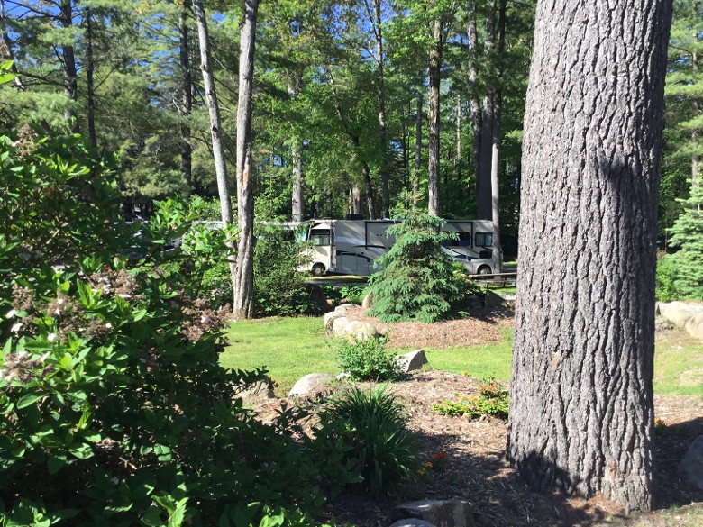 View of Pull Through Sites and Trees