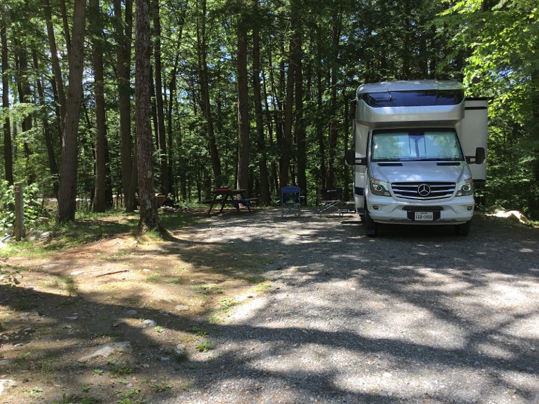 View of Wooded Camp Site