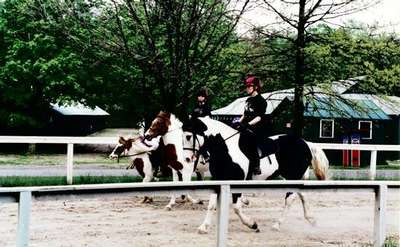 three people riding black/brown and white horses