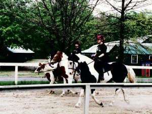 three people riding black/brown and white horses