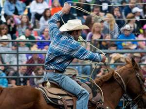 cowboy on a horse with lasso