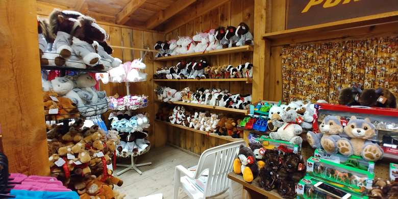 a gift store with stuffed animals and more
