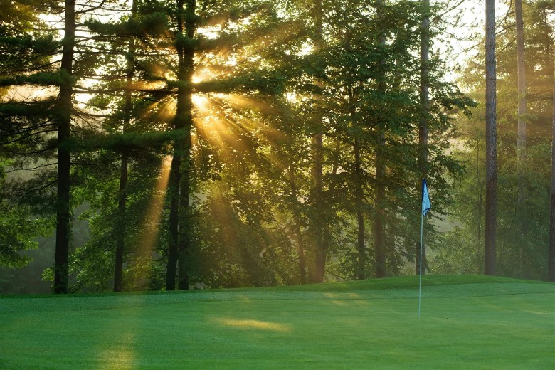 a golf course flag in a hole with sun shining through the trees