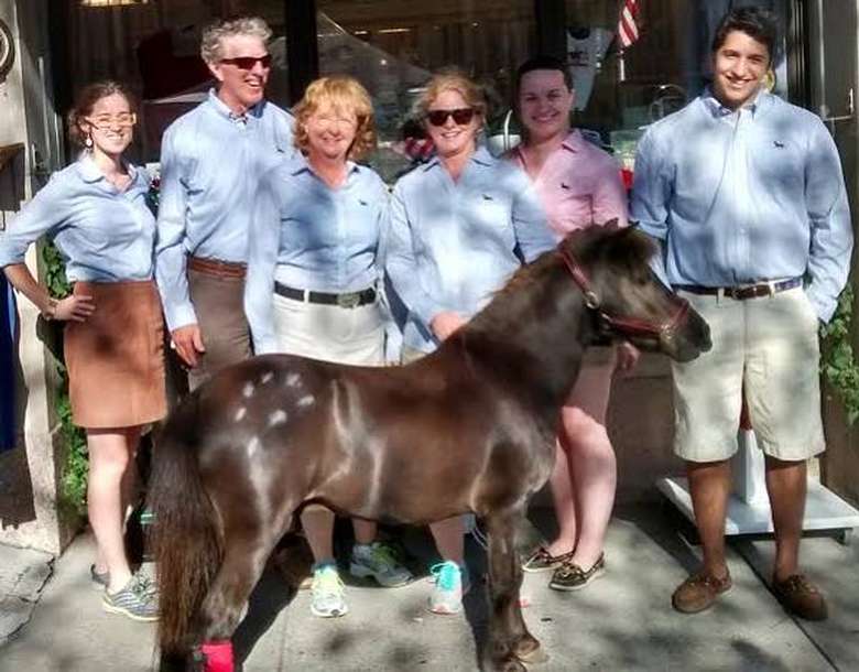 six adults posing with a small brown horse
