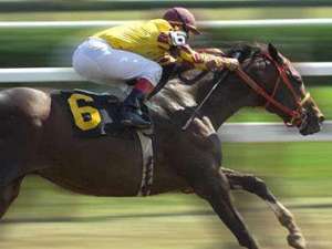 thoroughbred horse racing at saratoga