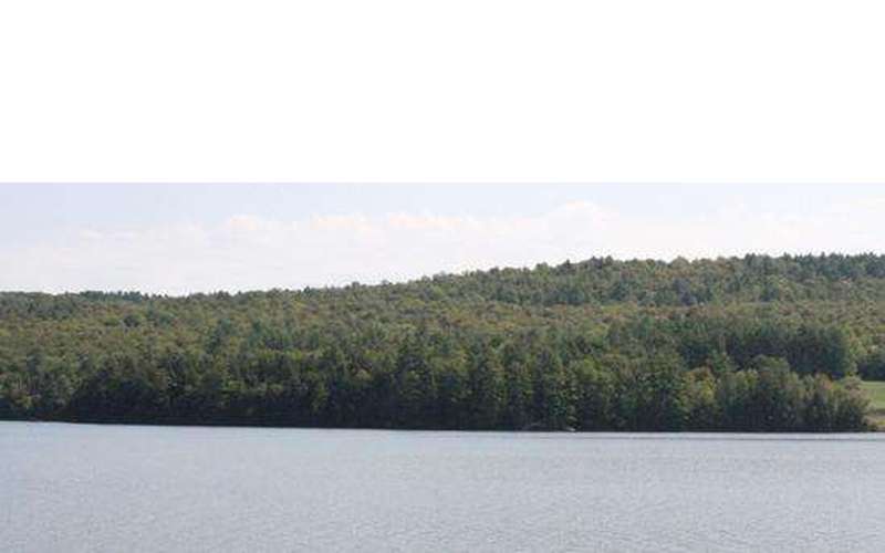 Adirondack Fishing In Brant Lake