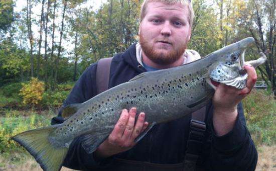 Fishing in the Saranac River in the Adirondacks