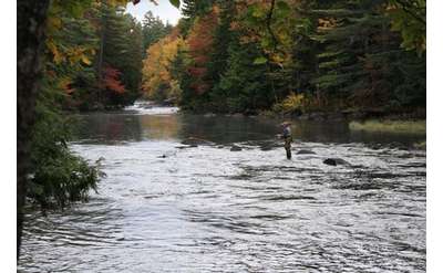 fly fisherman fishing in the waters of indian river during early fall foliage