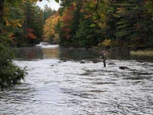 fly fisherman fishing in the waters of indian river during early fall foliage