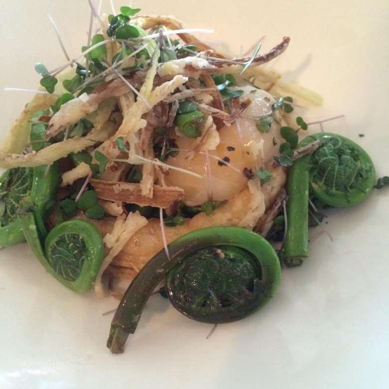shrimp dish with fiddleheads