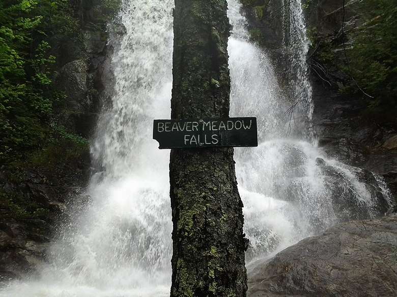 tree with a sign on it that says beaver meadow falls with the waterfall visible behind it