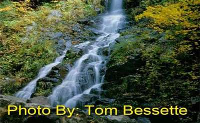 narrow waterfall dropping through the woods with photo credit to tom bessette