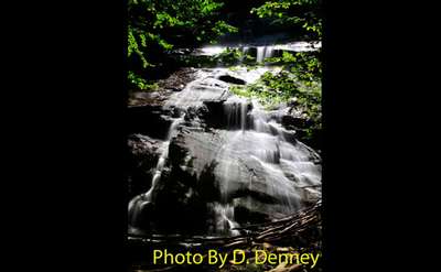 shallow waterfall in the woods with photo credit to d. denney