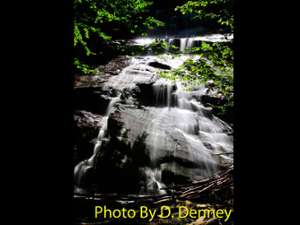 shallow waterfall in the woods with photo credit to d. denney