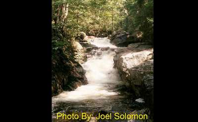 shallow waterfall running through the woods with photo credit to joel solomon