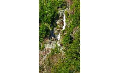 tall, skinny waterfall dropping through the woods