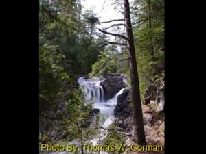 waterfall in the woods with photo credit to thomas w. gorman