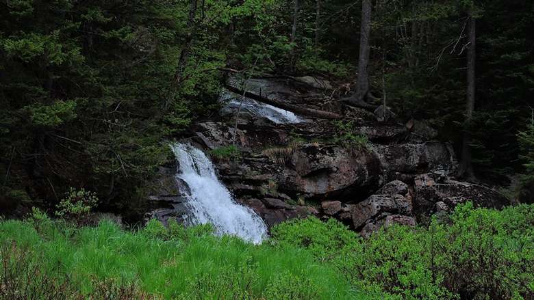 small waterfall in the woods