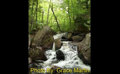 small waterfall in the woods with photo credit to grace martin
