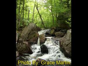 small waterfall in the woods with photo credit to grace martin