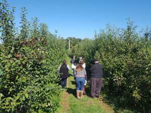 people in an orchard