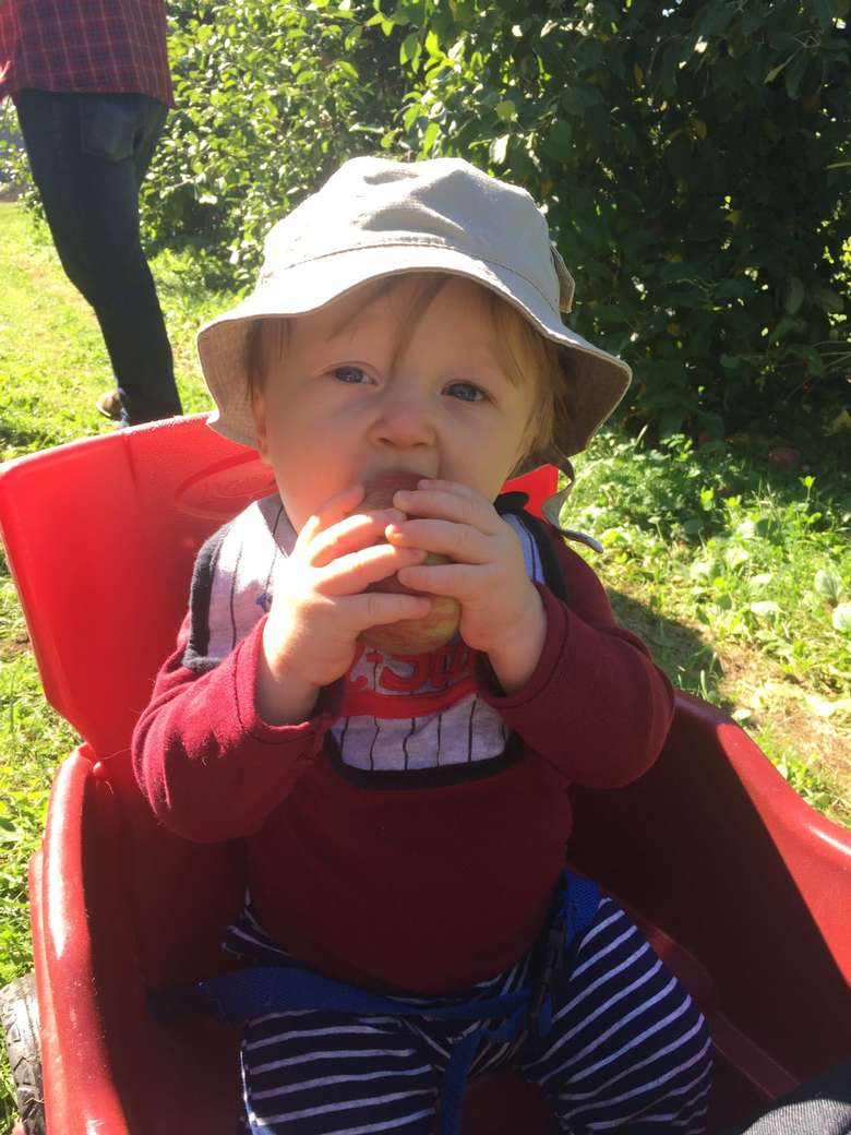 a toddler in a hat eating an apple