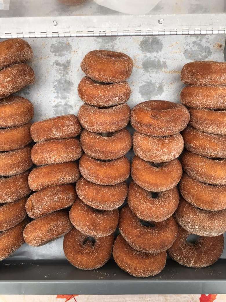 tray full of apple cider donuts