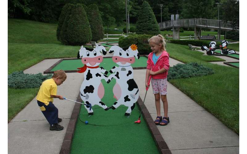 Hillbilly Fun Park Find Fort Ann Businesses at