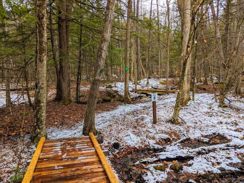 bridge in woods in winter