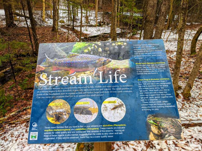 sign on stream life