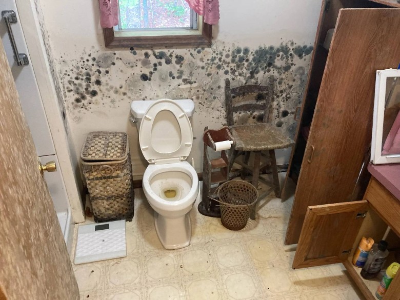 extensive mold in bathroom
