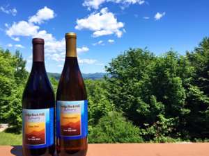 two bottles of wine with a scenic backdrop