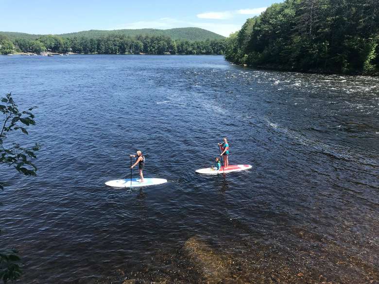 two people standup paddleboarding