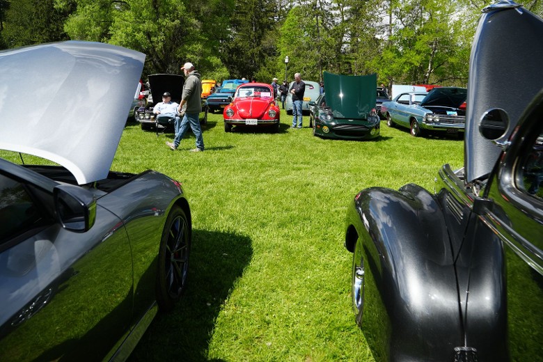 classic cars on display at a lawn show