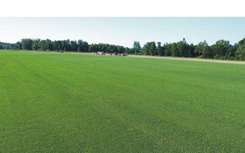 Saratoga Sod Farm in Stillwater, NY Providing Fresh Sod & Landscaping