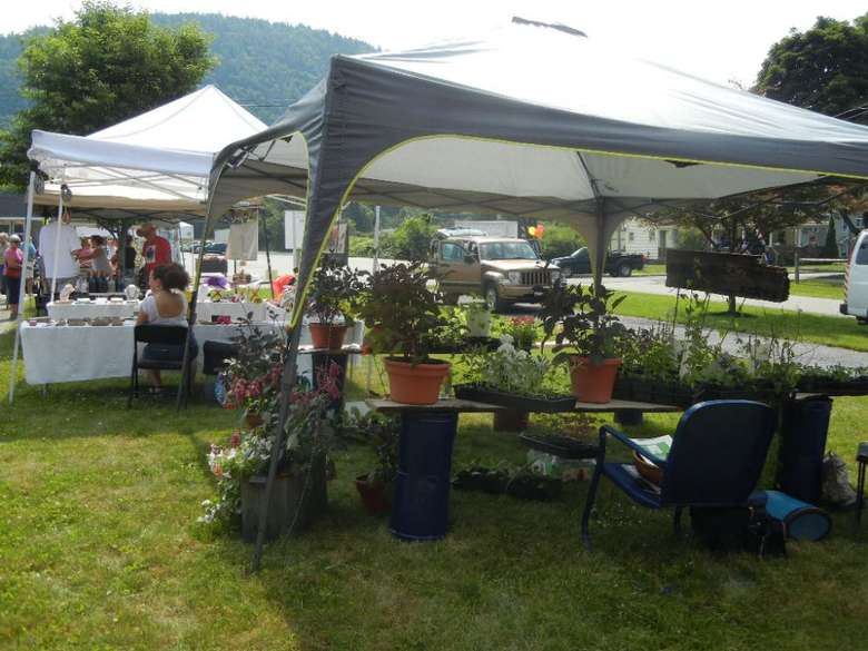 plants set up for sale at a farmers market