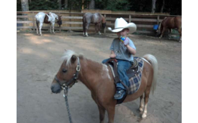 Ruggiero's Public Horseback Riding at the Painted Pony Ranch Minutes from Lake and