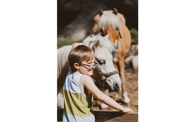 Ruggiero's Public Horseback Riding at the Painted Pony Ranch Minutes from Lake and