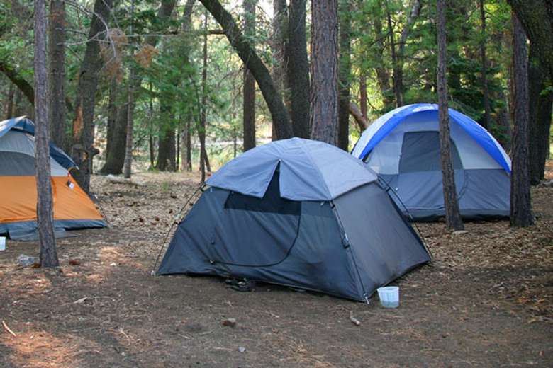 three tents in the woods surrounded by trees